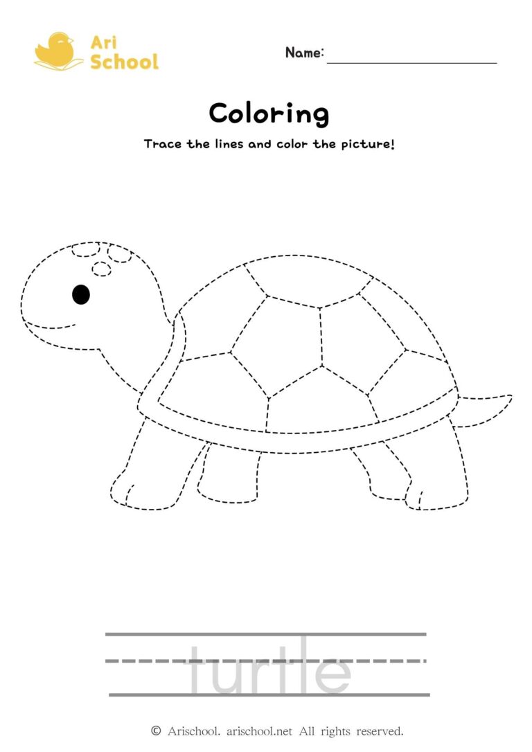 Coloring-turtle-worksheet