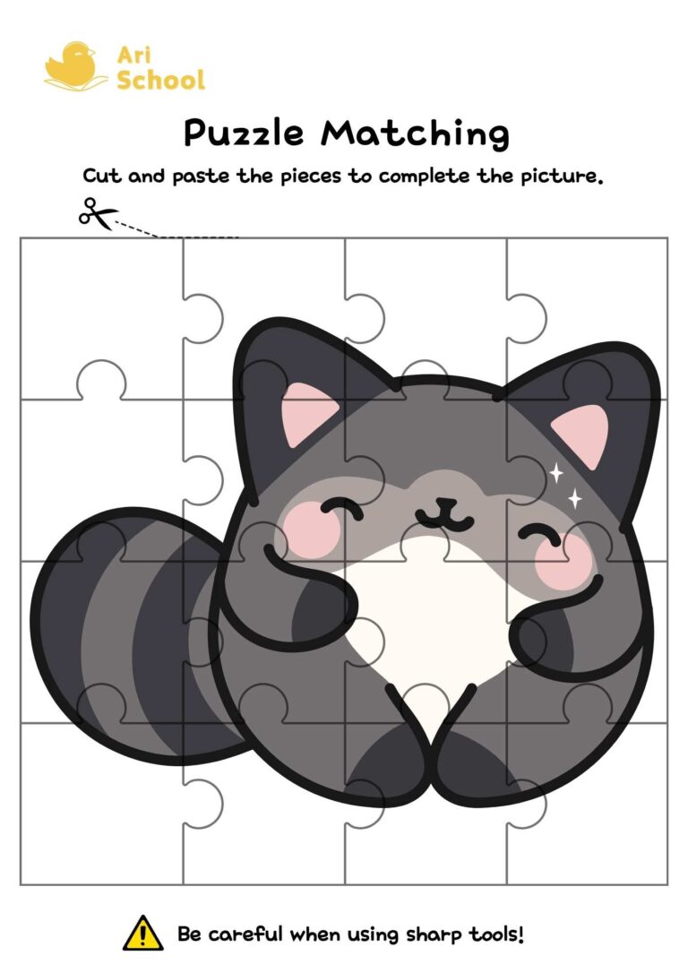 Puzzle Matching – Raccoon-1